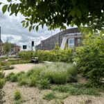 New trees and shrubs planted on Digbeth High Street with the coach station in the background.