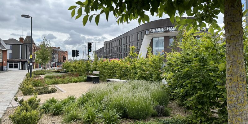 New trees and shrubs planted on Digbeth High Street with the coach station in the background.